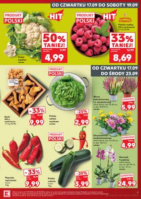 Kaufland - gazetka promocyjna Oferta Tygodnia od czwartku 17.09 do środy 23.09 - strona 5