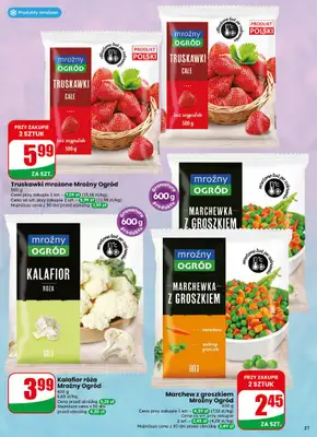 Dino - gazetka promocyjna Gazetka 38 / 2026 od środy 16.09 do wtorku 22.09 - strona 31