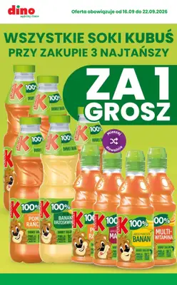 Dino - gazetka promocyjna MEGA promocje! od środy 16.09 do wtorku 22.09 - strona 3