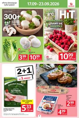 Selgros - gazetka promocyjna Jeszcze więcej super promocji! od czwartku 17.09 do środy 23.09 - strona 3