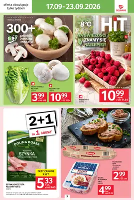 Selgros - gazetka promocyjna Jeszcze więcej super promocji! od czwartku 17.09 do środy 23.09 - strona 3
