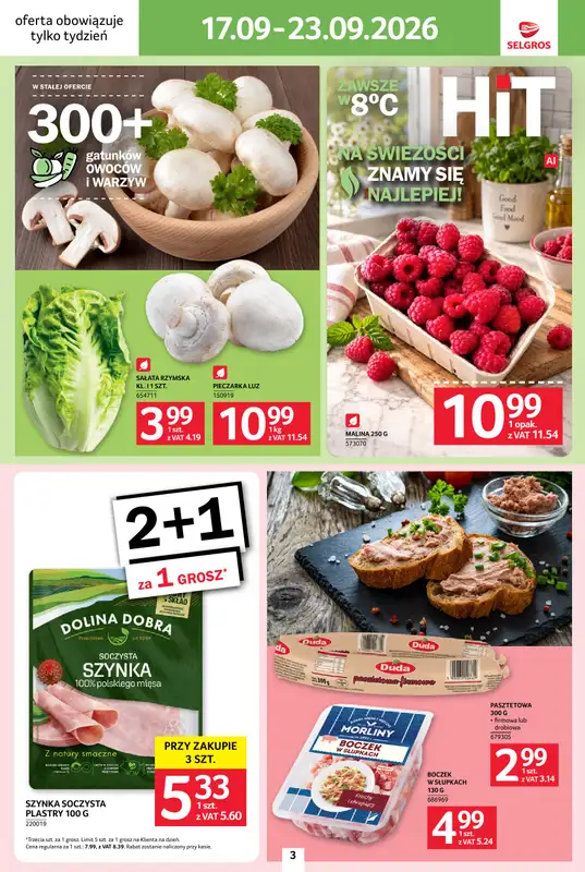 Selgros - gazetka promocyjna Jeszcze więcej super promocji!   - strona 3