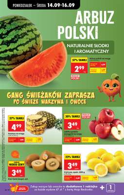 Biedronka - gazetka promocyjna Od poniedziałku od poniedziałku 14.09 do soboty 19.09 - strona 48