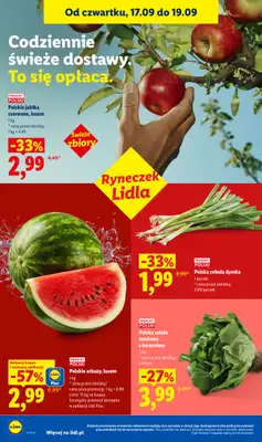 Lidl - gazetka promocyjna Oferta od czwartku od czwartku 17.09 do soboty 19.09 - strona 42