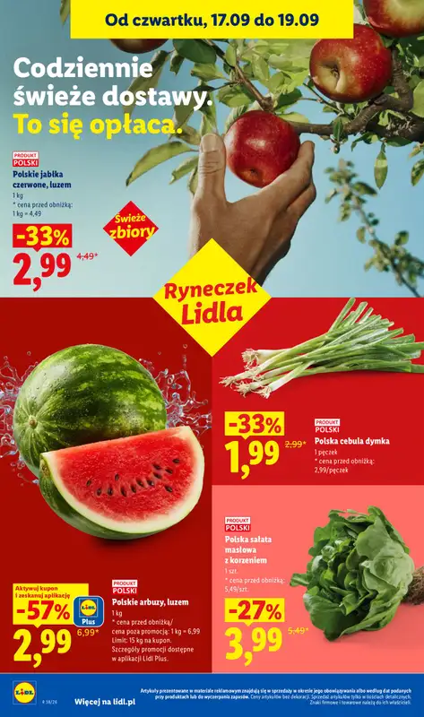 Lidl - gazetka promocyjna Oferta od czwartku od czwartku 17.09 do soboty 19.09 - strona 42