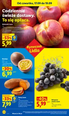 Lidl - gazetka promocyjna Oferta od czwartku od czwartku 17.09 do soboty 19.09 - strona 44