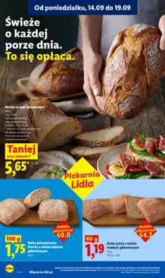 Lidl - gazetka promocyjna Oferta od czwartku od czwartku 17.09 do soboty 19.09 - strona 50