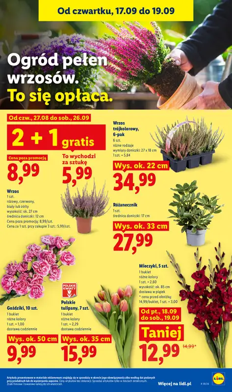 Lidl - gazetka promocyjna Oferta od czwartku od czwartku 17.09 do soboty 19.09 - strona 85
