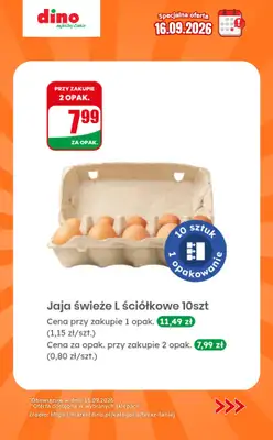 Dino - gazetka promocyjna Specjalna oferta na 16.09.2026 - promocje spoza gazetki od środy 16.09 do środy 16.09 - strona 3