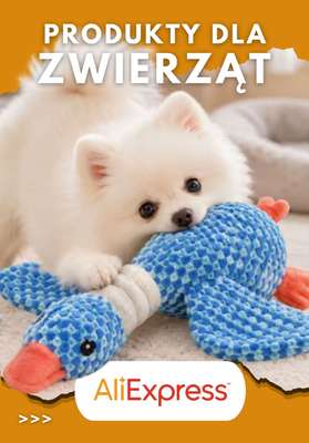 AliExpress - gazetka promocyjna Produkty dla zwierząt od środy 16.09 