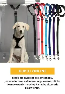 AliExpress - gazetka promocyjna Produkty dla zwierząt od środy 16.09  - strona 10
