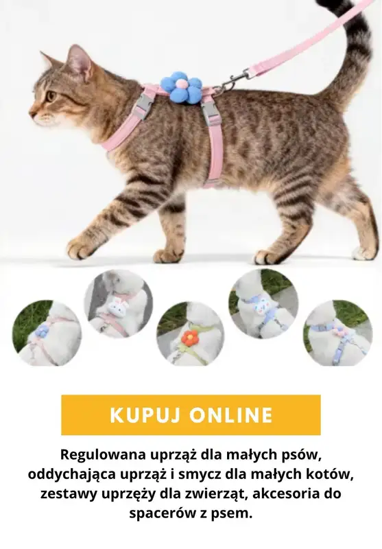 AliExpress - gazetka promocyjna Produkty dla zwierząt od środy 16.09  - strona 9