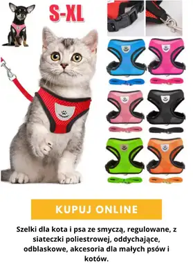 AliExpress - gazetka promocyjna Produkty dla zwierząt od środy 16.09  - strona 3