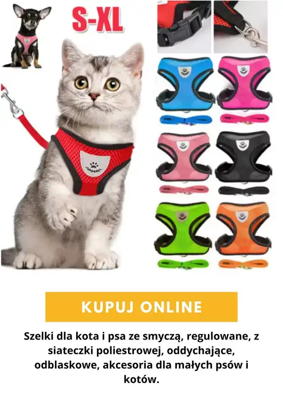 AliExpress - gazetka promocyjna Produkty dla zwierząt od środy 16.09  - strona 3