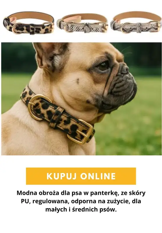 AliExpress - gazetka promocyjna Produkty dla zwierząt od środy 16.09  - strona 8