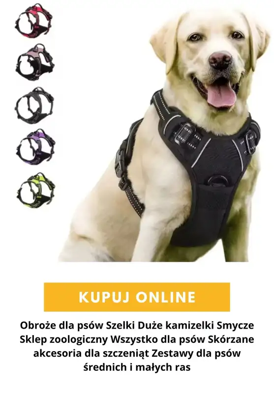 AliExpress - gazetka promocyjna Produkty dla zwierząt od środy 16.09  - strona 4