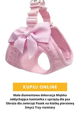 AliExpress - gazetka promocyjna Produkty dla zwierząt od środy 16.09  - strona 7