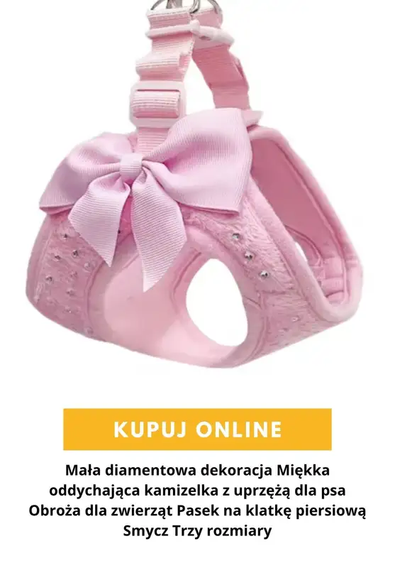 AliExpress - gazetka promocyjna Produkty dla zwierząt od środy 16.09  - strona 7