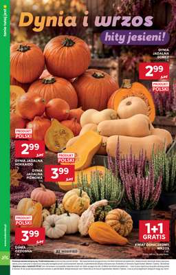 Stokrotka - gazetka promocyjna Gazetka Supermarket od czwartku 17.09 do środy 23.09 - strona 8