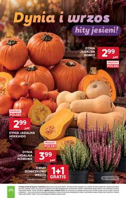 Stokrotka - gazetka promocyjna Gazetka Market od czwartku 17.09 do środy 23.09 - strona 5