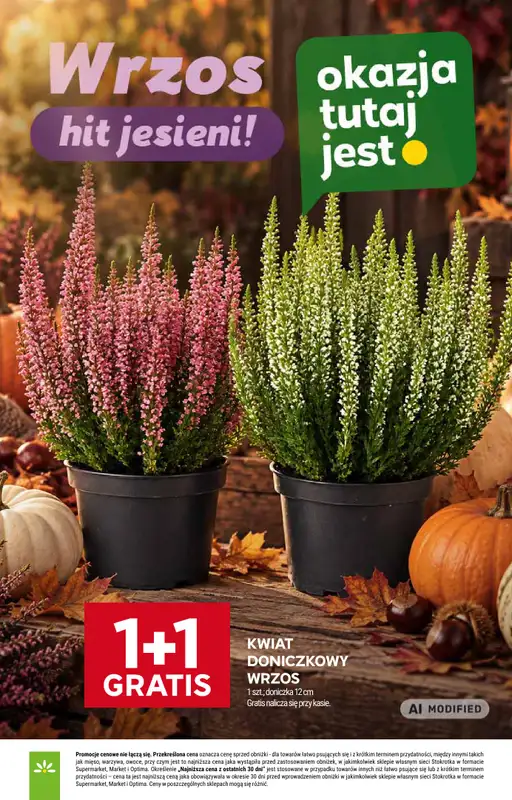 Stokrotka - gazetka promocyjna Gazetka Market od czwartku 17.09 do środy 23.09 - strona 13