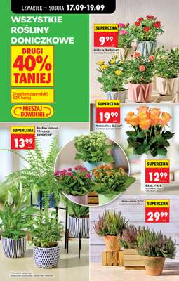 Biedronka - gazetka promocyjna Od czwartku od czwartku 17.09 do środy 23.09 - strona 77