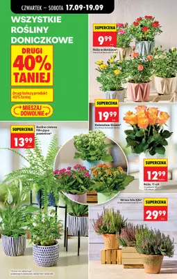 Biedronka - gazetka promocyjna Od czwartku, Z ladą tradycyjną od czwartku 17.09 do środy 23.09 - strona 77