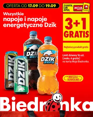 Biedronka - gazetka promocyjna Biedronkowe oszczędności od czwartku od czwartku 17.09 do soboty 19.09 - strona 6