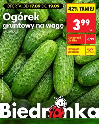 Biedronka - gazetka promocyjna Biedronkowe oszczędności od czwartku od czwartku 17.09 do soboty 19.09 - strona 18