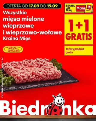 Biedronka - gazetka promocyjna Biedronkowe oszczędności od czwartku od czwartku 17.09 do soboty 19.09 - strona 16