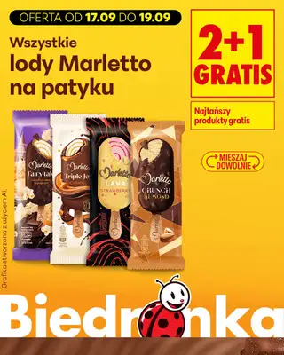 Biedronka - gazetka promocyjna Biedronkowe oszczędności od czwartku od czwartku 17.09 do soboty 19.09 - strona 13