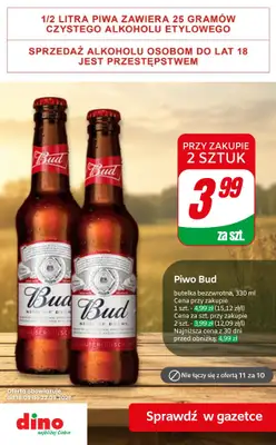 Dino - gazetka promocyjna Super promocje na piwo! od czwartku 17.09 do wtorku 22.09 - strona 10