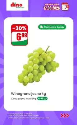 Dino - gazetka promocyjna Specjalna oferta na 17.09.2026 - promocje spoza gazetki od czwartku 17.09 do czwartku 17.09 - strona 4