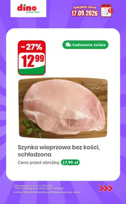 Dino - gazetka promocyjna Specjalna oferta na 17.09.2026 - promocje spoza gazetki od czwartku 17.09 do czwartku 17.09 - strona 9