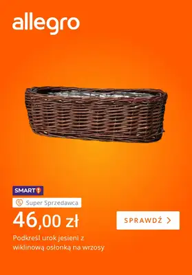 Allegro - gazetka promocyjna Jesienne dekoracje Twojego domu od piątku 18.09 do piątku 25.09 - strona 2