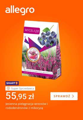 Allegro - gazetka promocyjna Jesienne dekoracje Twojego domu od piątku 18.09 do piątku 25.09 - strona 5