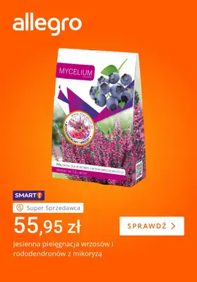 Allegro - gazetka promocyjna Jesienne dekoracje Twojego domu od piątku 18.09 do piątku 25.09 - strona 5