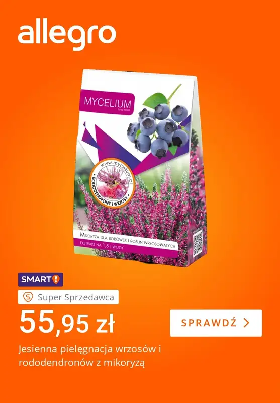 Allegro - gazetka promocyjna Jesienne dekoracje Twojego domu od piątku 18.09 do piątku 25.09 - strona 5