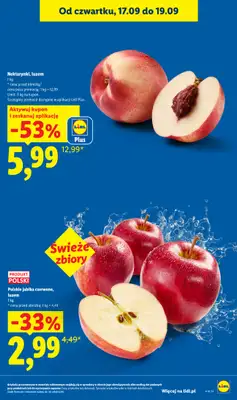 Lidl - gazetka promocyjna Oferta od czwartku od czwartku 17.09 do soboty 19.09 - strona 25