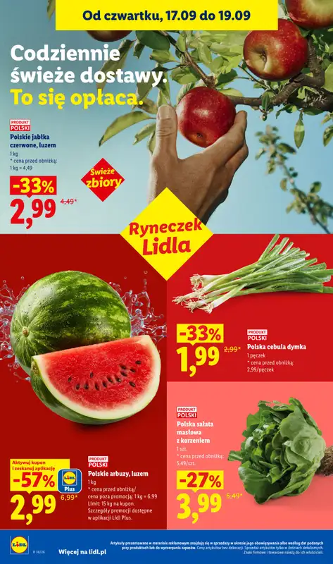 Lidl - gazetka promocyjna Oferta od czwartku od czwartku 17.09 do soboty 19.09 - strona 42