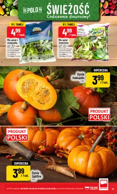 POLOmarket - gazetka promocyjna Gazetka od środy 16.09 do wtorku 22.09 - strona 15