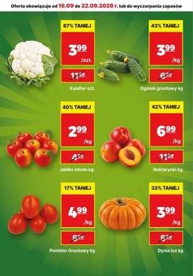 API Market - gazetka promocyjna Gazetka od czwartku 17.09 do wtorku 22.09 - strona 10