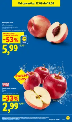 Lidl - gazetka promocyjna Oferta od czwartku od czwartku 17.09 do soboty 19.09 - strona 25