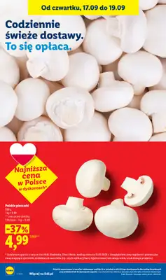 Lidl - gazetka promocyjna Oferta od czwartku od czwartku 17.09 do soboty 19.09 - strona 24
