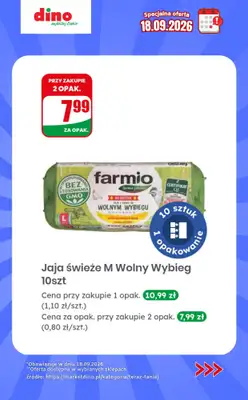 Dino - gazetka promocyjna Specjalna oferta na 18.09.2026 - promocje spoza gazetki od piątku 18.09 do piątku 18.09 - strona 6