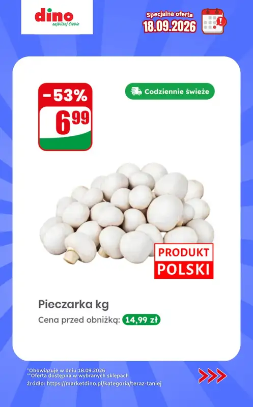 Dino - gazetka promocyjna Specjalna oferta na 18.09.2026 - promocje spoza gazetki od piątku 18.09 do piątku 18.09 - strona 2
