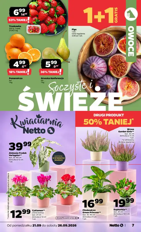 Netto - gazetka promocyjna Gazetka Spożywcza od poniedziałku 21.09 do soboty 26.09 - strona 7