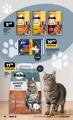 Netto - gazetka promocyjna Gazetka Spożywcza od poniedziałku 21.09 do soboty 26.09 - strona 42