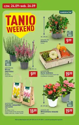 Aldi - gazetka promocyjna Pełny katalog! od poniedziałku 21.09 do soboty 26.09 - strona 38