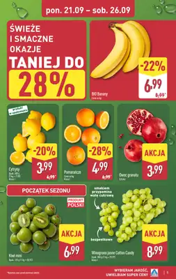 Aldi - gazetka promocyjna Pełny katalog! od poniedziałku 21.09 do soboty 26.09 - strona 5